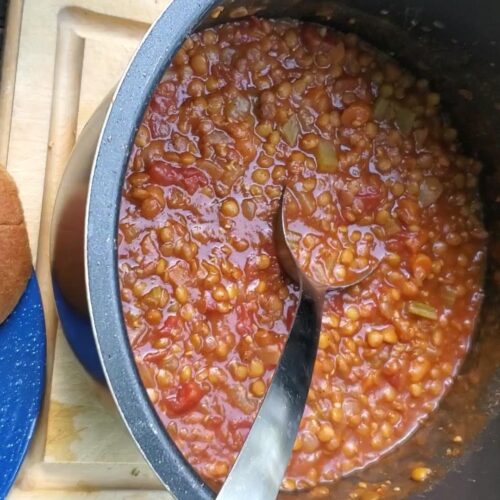 vegan instant pot lentil sloppy joes