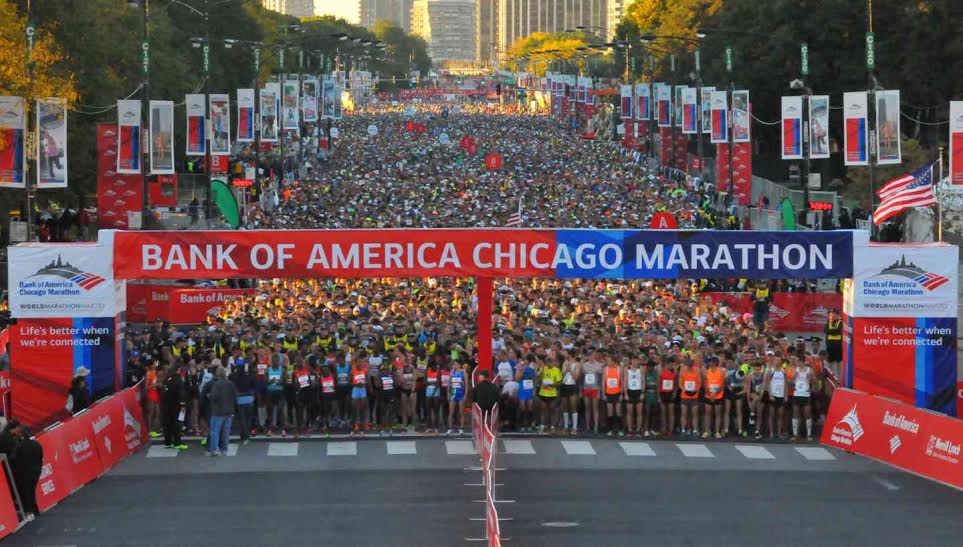 Chicago Marathon 2024 Entry Fee Amy Brigitta